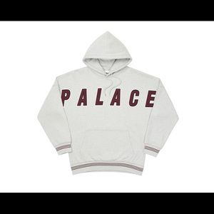 BRAND NEW PALACE HOODIE!